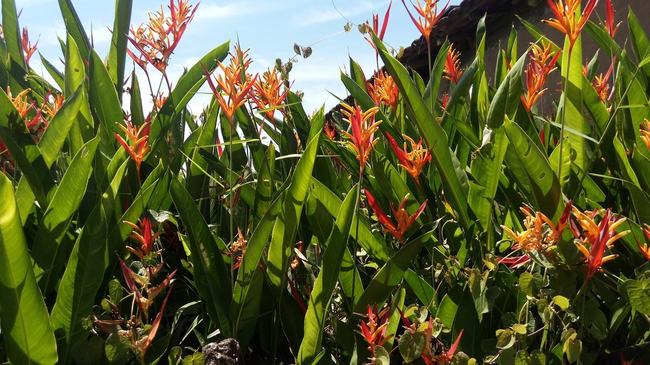 Sonhos Meu Pousada Praia de Boraceia Exterior foto